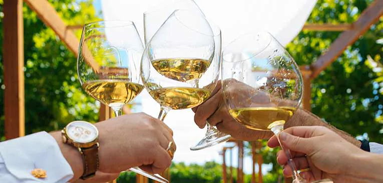 Wine Glasses Wine Glasses